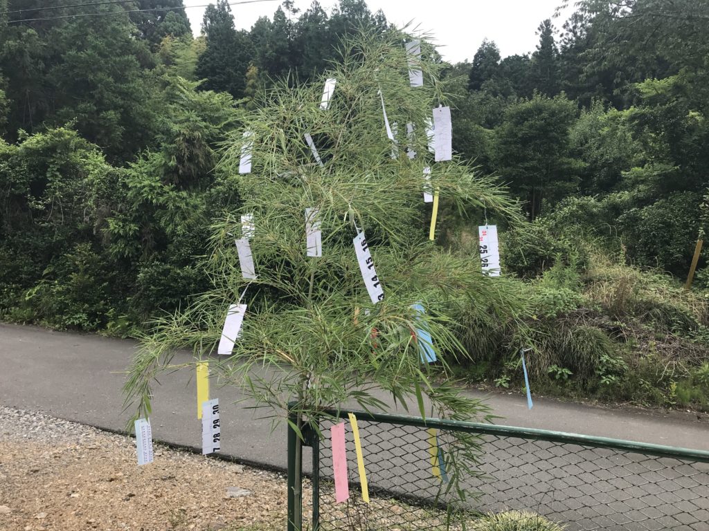 七夕 1
